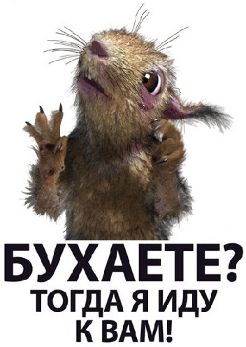 картинка адская белка