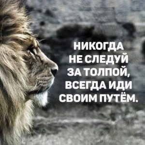 всегда иди своей дорогой