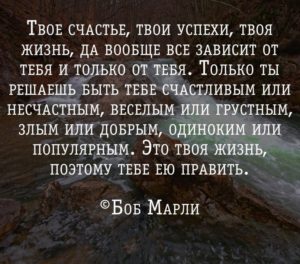 цитата о жизни, счастье