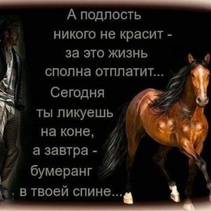 цитата о подлости