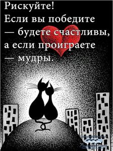 про жизнь