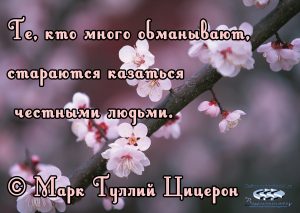 про жизнь