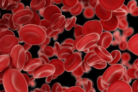 Сосудистая система принимает удар - LORDMED Clinic
